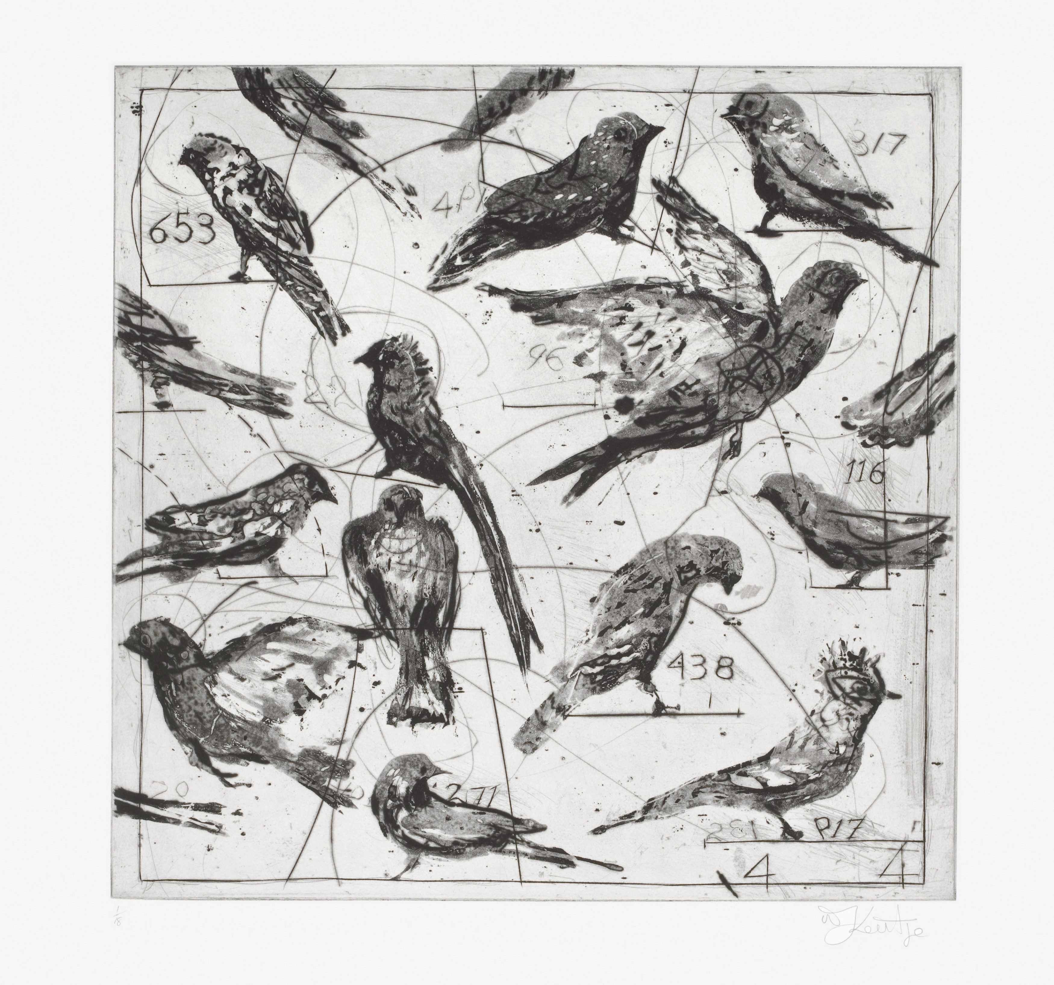 Bird Catching (4. Selection of Birds)